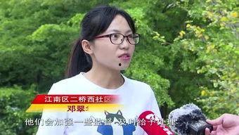 南宁黑总前妻爆料新闻视频,南宁黑总前妻爆料视频引发热议